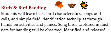 BirdBanding