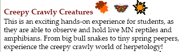 CreepCrawly