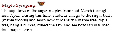 MapleSyruping