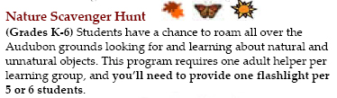 Scavenger Hunt