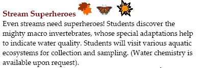 StreamSuperheroes