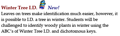 WinterTreeID