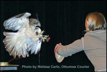 ACNW Wildlife program