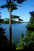 Itasca