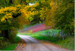 Maplewood State Park