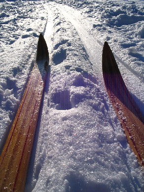 skiing