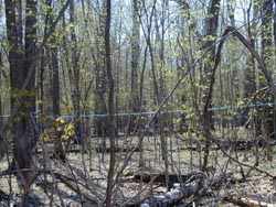 rubber tubing