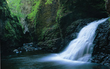 Loons, Lakes and Ancient Rocks